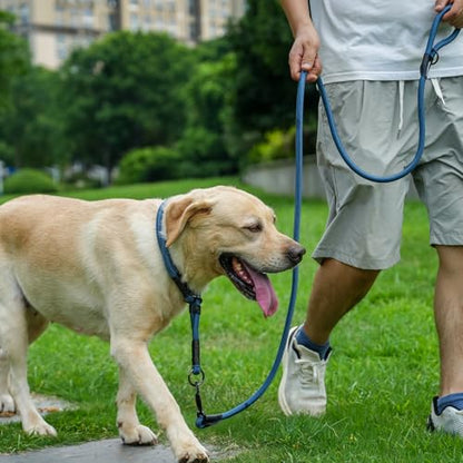 Rope Dog Leash, 4 ft Heavy Duty Dog Leash with Aviation Aluminum Auto Locking Carabiner, Strong Nylon Pet Lead for Small, Medium, Large Dogs (Navy Blue, 4FT) - color: Navy Blue, size: 4 Foot Single Handle