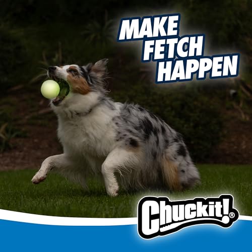 Chuckit! Glow in the Dark Bouncy Balls - Ball for Dogs, Chuckit Dog Toy, Max Glow Balls - Medium, 2.5 Inch Pack of 2 - size: Medium