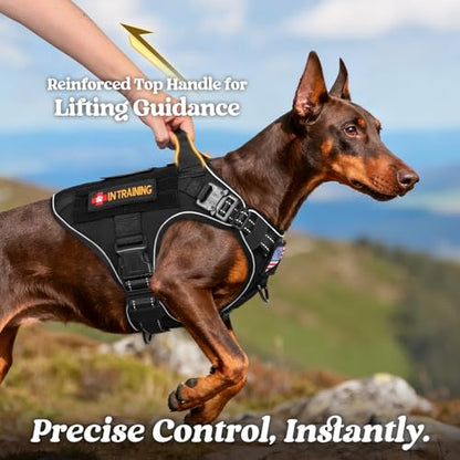 rabbitgoo Tactical Dog Harness Small Sized, No Pull Upgraded Reflective Heavy Duty Molle Vest with Handle, Adjustable Military Service Dog Vest for Walking Hiking Training, Black, S - color: Black Reflective, size: Small