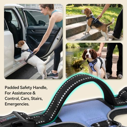 PHOEPET No Pull Dog Harness Reflective Adjustable with 2 Metal Leash Hooks and Soft Training Handle [Over The Head Design](S, Baby Blue) - color: Baby Blue, size: Small