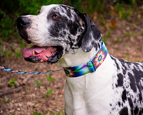 Country Brook Petz - Tie Dye Flowers Martingale Dog Collar - Groovy Collection Featuring Far Out Designs (1/2 Inch, 2XS) - color: Tie Dye Flowers, size: 2XS (Pack of 1)