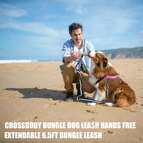 Double Dog Leash - Hands Free Dog Leash Crossbody & Waist for Dog Walking - Tangle-Free Bungee & Padded Handles for Medium & Large Dogs, Black