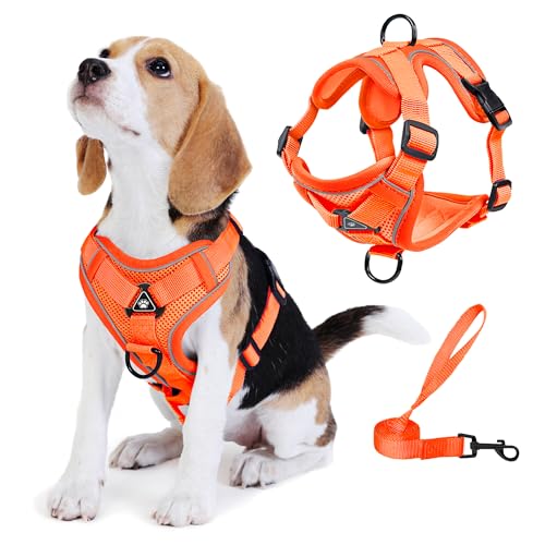 No Pull Dog Harness with Leash Set for Small Sized Dog, Reflective Adjustable No Choke Front Clip Cat Vest Harness with Breathable Mesh, Comfortable Soft Padded Pet Vest, Orange L - color: Orange, size: L (Neck 9.39-13.72'' Chest 7.81-16.87'')