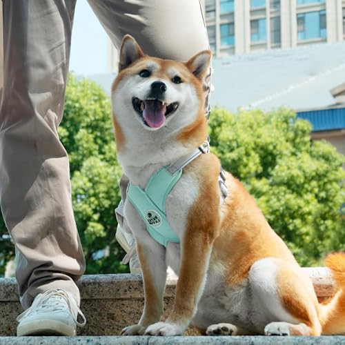Patas Lague Dog Harness with Leash Set Adjustable Soft Padded Step-in Dog Vest No Choke No Pull Reflective for Small Pets with Poop Bags and Dispenser, Solid and No-chew, Green XS - color: Green, size: XS (Neck 16-19.1'' Chest 18.8-21.5'')