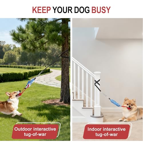 Dog tug of war Toy with Squeak,Interactive Dog Pull Toy from Tree to Keep Them Busy, Multifunctional Combination Tether tug Toy with chew Ball - color: Stump Tug of War