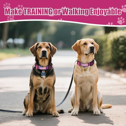 Martingale Dog Collar, Reflective No Pull Training Collar with Quick Release Buckle & USA Flag, Heavy-Duty Nylon, Adjustable for Small Medium Large Dogs (M,Hot Pink - color: Hot Pink with Flag, size: M (1" x 15.5"-19.5")