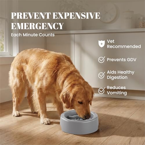 AVERYDAY 3 Pack Slow Feeder Dog Bowl Set, Two Weighted Maze Insert Bowls, Anti-Slip Changeable Puzzle Feeding Bowl for Wet Dry & Raw Dog Food, Slow Eating Deep Pet Food Dish for Medium & Large Breeds - color: Serene Slate