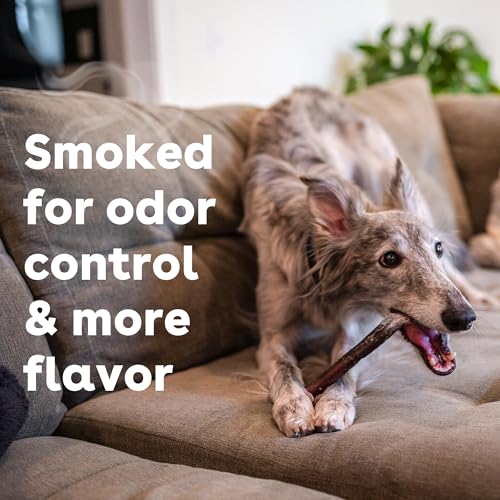 Pupford Thick Bully Sticks for Dogs & Puppies, Smoked for Improved Smell, Natural, Long-Lasting, Single Ingredient Chews for Small & Medium Breeds (6", 4 Count) - size: 4 Count (Pack of 1), style: 6 Inch