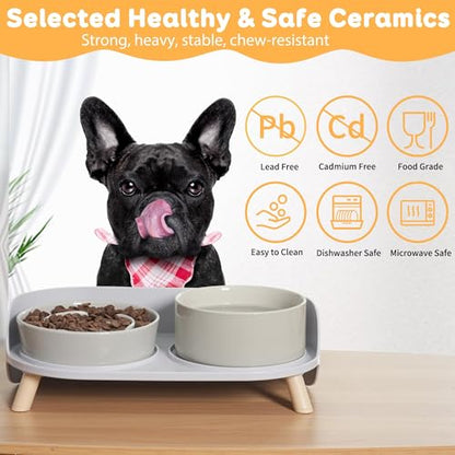 Elevated Slow Feeder Dog Bowls - Ceramic Food and Water Bowl Set with Stand - Raised Pet Dishes for Small and Medium Sized Dogs - color: Grey