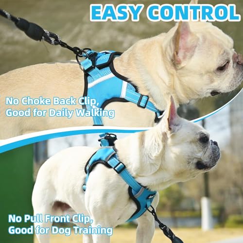 PUPTECK Dog Harness Small Sized Dog, Step in Adjustable Reflective Dog Vest Harness Escape Proof, No Pull Soft Padded Harness Easy Control, Blue, XS - color: Blue, size: XS (CHEST: 11.5"-16")