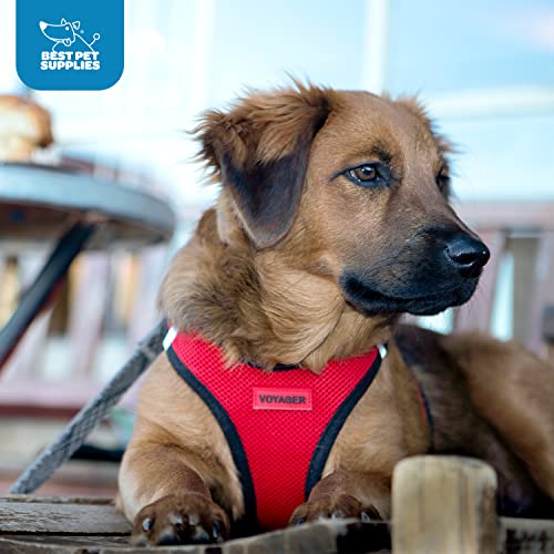 Best Pet Supplies - All Weather Mesh/Plush, Reflective, No Pull Harness for Small, Medium Dogs, Cats - Secure with Hook & Loop Fastener, Buckle, Double D-Rings - Black/Pink Trim, M - color: Harness (Black/Pink Trim), size: M (Chest: 16 - 18")