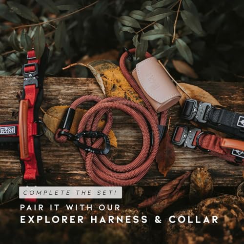 MADE TO ROAM Premium Explorer Leash - Climbing Rope Leash with Autolocking Aviation Aluminum Carabiner - Carolina Blooms, 4ft - color: Carolina Blooms, size: 4 Feet