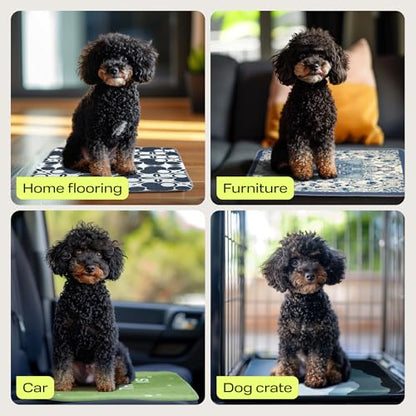 PetSpy Washable Pee Pads for Dogs - Waterproof Reusable Puppy Pads No-Slip Surface - Stylish Dog Potty Training Pads Protect Against Leakage (Grass, 1 Pack - 72" x 72") - color: Grass, size: 72 x 72 Inch (Pack of 1)