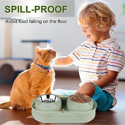 Elevated Raise Tilted Cat Food Bowls,with Stand Stainless Steel, Anti Vomiting, Double Cat Food and Water Bowl Set (Green) - color: Green