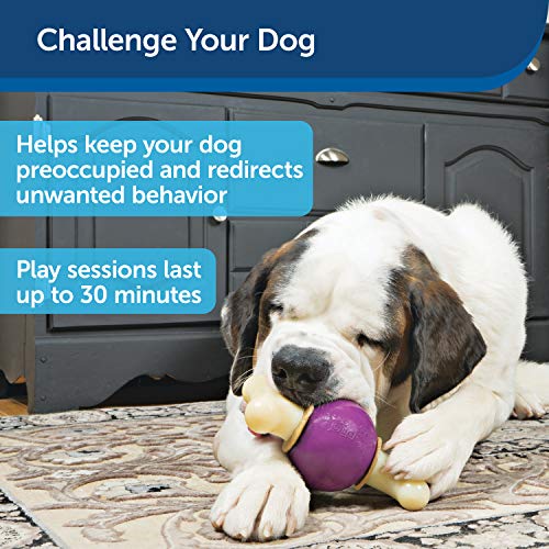 PetSafe Busy Buddy Bouncy Bone, Treat Holding Dog Toy, Medium/Large, Best for Dogs 50-90 Lb.