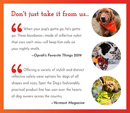 SPOT THE DOG! Reflective Dog Vest - High Visibility Safety Dog Accessories, Fluorescent Dog Apparel for Walking, Hiking & Camping, Hunting (Blaze Orange, XL) - size: X-Large