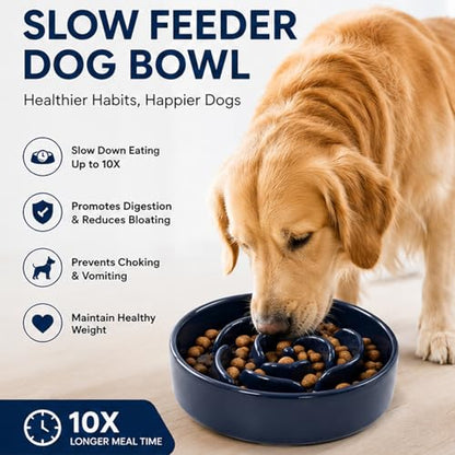 Slow Feeder Dog Bowls, Ceramic Slow Feeding Bowl for Small and Medium Breed, Anti Choking Puzzle Dog Food Bowl with Non-Slip Base for Fast Eater (Blue, S-0.6CUP) - color: Blue