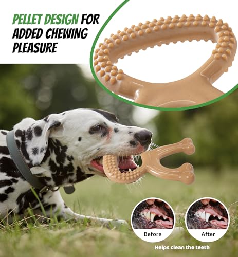 Durable Dog Chew Toy for Aggressive Chewers, Indestructible Nylon Bone Dental Care Teeth Cleaning Chew Toy for Small, Medium and Large Dogs, Keep Them Busy, Irresistible Beef Flavor (Brown) - color: Brown