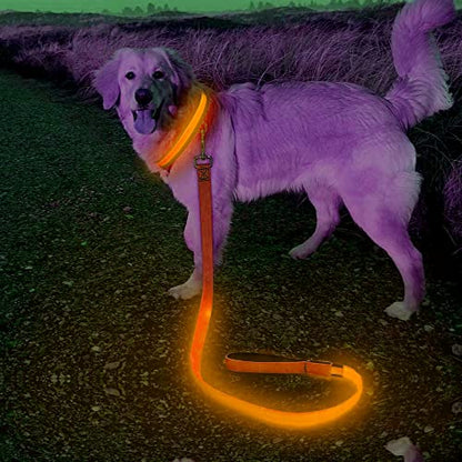 Candofly LED Dog Leash Rechargeable, 4 Ft Glow in The Dark Light Up Dog Leash, Nylon Reflective Dog Rope with Light for Small Medium Large Dogs (Orange) - color: Orange