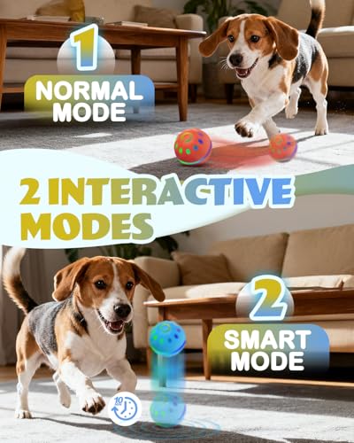 Zoomsnail Interactive Dog Toys, BPA-Free Rechargeable Automatic Dog Balls with Lights, Waterproof & 2 Modes Balls for Small/Medium Dogs, Perfect for Play and as a Pet Gift, 2 Pack
