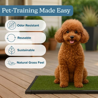 Artificial Grass Puppy Pad with Tray 16x20 inch | Reusable Indoor & Outdoor Dog Potty Training Mat System | Washable Fake Grass Pet Housebreaking Pad for Puppies & Small to Medium Dogs by PETMAKER - size: Small 3-Layer System