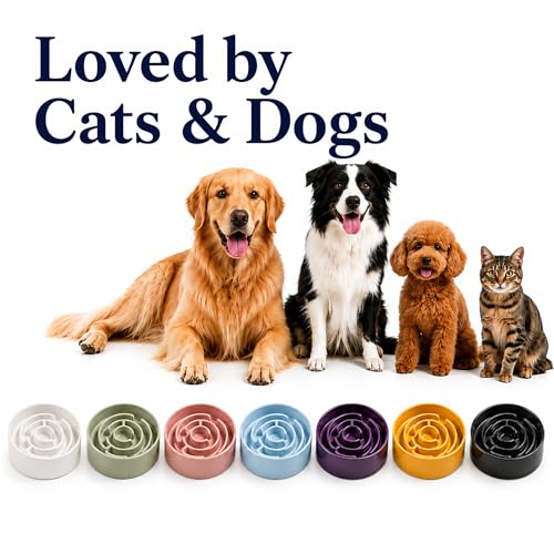 Ceramic Slow Feeder Dog Bowls with Anti-Slip, Slow Feeder & Non-Slip Design, Boredom and Anxiety Reducer, Suitable for All Breed Dogs and Cat (Ceramic-Green) - color: Ceramic-Green