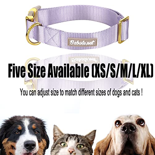 Nylon Dog Collar - Adjustable Lavender Soft Webbing Dog Collars for Small Medium Large Dogs Boy Girl Puppy Collar with Safety Metal Buckle XS - color: Nylon-Lavender, size: XS