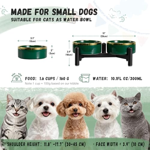 Elevated Ceramic Dog Bowl Set - Double Dishes with Stainless Steel Stand – Raised Feeding Bowls for Cats and Small Dogs - Food & Water Set - 5" / 1.6 Cups (160 g / 300 ml) - Green - color: Green, size: S