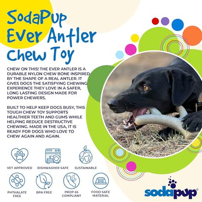 SodaPup Ever Antler – Durable Dog Chew Toy Made in USA from Non Toxic Pet Safe Food Safe Nylon Material for Mental Stimulation, Clean Teeth, Fresh Breath, Problem Chewing, & More - color: Brown Ever Antler