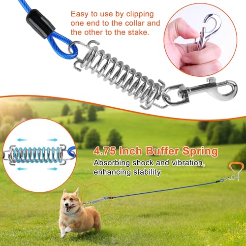 LANNEY Dog Tie Out Cable and Stake, 30ft Leash Chain Lead with Swivel Hook and Shock Spring for Yard Outside Camping, 16 inch Heavy Duty Spiral Ground Stake for Medium Large Dogs Up to 125 Lbs