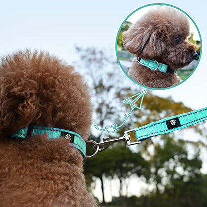 NESTROAD Dog Collar and Leash Set,Reflective Dog Collars with Quick Release Buckle,Adjustable Nylon Pet Collar for Small Medium Large Dogs(Large,Teal) - color: Teal, size: Large