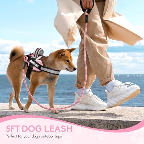Service Dog Vest Harness and Leash Set, Animire in Training Dog Harness with 10 Dog Patches, Reflective Dog Leash with Soft Padded Handle for Small, Medium, Large, and Extra-Large Dogs(Pink,S) - color: Pink, size: S