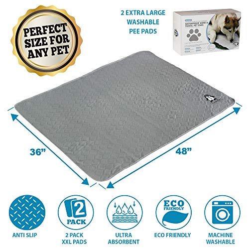 Washable Pee Pads for Dogs XXL (2 Pack), Reusable Puppy Training Pads, Ultra Absorbent & Waterproof Pet Mat for Senior Dogs, Non-Slip, Floor & Furniture Protector (36"x48") by Trendy Den Creations