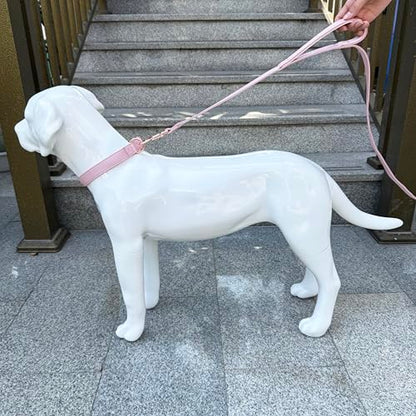Dog Leash 6ft Long,Traffic Padded Two Handle,Heavy Duty,Double Handles Lead for Control Safety Training,Leashes for Large Dogs or Medium Dogs,Dual Handles Leads (Pink, 25MM*6FT) - color: Pink