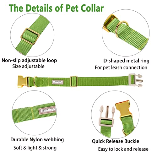 Nylon Dog Collar - Adjustable Green Soft Webbing Dog Collars for Small Medium Large Dogs Boy Girl Puppy Collar with Safety Metal Buckle XS - color: Nylon-Green, size: XS