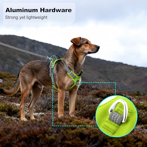 No Pull Dog Harness – Adjustable Reflective Nylon Vest for Small Medium Large Dogs, Escape Proof Training Harness with Leather Control Handle, Lightweight Aluminum Hardware (Green, L) - color: Green, size: L