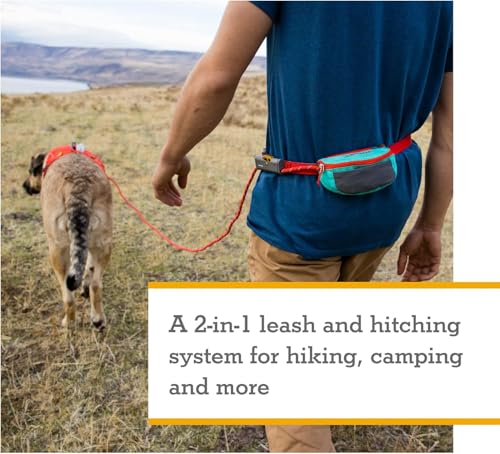 Ruffwear, Hitch Hiker Dog Leash, Adjustable Leash & Hitching System for Camping & Hiking, Aurora Teal - color: Aurora Teal