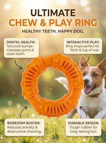 Durable Rubber Teething Ring for Dogs, Interactive Chew Toy for Medium and Large Breeds, Tough Pet Fetch and Training Tool - color: Orange