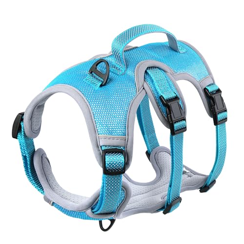 Beirui Escape Proof Dog Harness, No Pull Dog Harness,Reflective Dog Harness with Handle, Breathable,Durable, Adjustable Vest for Medium Dogs Outdoor Walking(Blue,Chest 19-25")