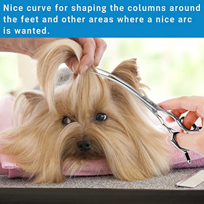 HASHIMOTO Dog Grooming Scissors, Curved Scissors for Dog Grooming, 6.5 inch, 30 Degree of Curved Blade,Light Weight, Pet Shears for Trimming Face and Paws. | Sharp, lightweight, 440C Stainless Steel, 30 Degree of Curved Blade - size: 6.5", style: Curved