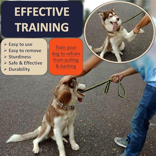 DEYACE Quick Release Dog Training Collar Adjustable Stainless Steel Collar for Small Medium Large Dog (Black, S Neck Girth 11.2"-14.5") - color: Black, size: S Neck Girth 11.2"-14.5"