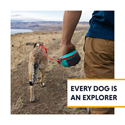 Ruffwear, Hitch Hiker Dog Leash, Adjustable Leash & Hitching System for Camping & Hiking, Red Currant - color: Red Currant