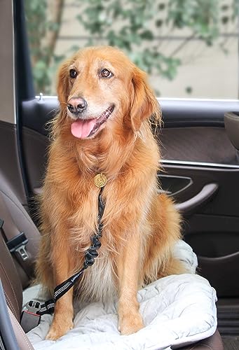 2 Pack Dog Seat Belt Adjustable Dog Car Seatbelts for Vehicle Nylon Pet Safety Seat Belt with Elastic Bungee Buffer Reflective & Durable Car Harness for Dogs (Black + Red) - color: Black + Red