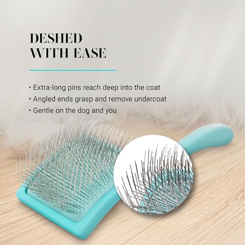 Chris Christensen Big G Dog Slicker Brush for Dogs (Goldendoodles, Labradoodles, Poodles), Groom Like a Professional, Fluff Detangle Style, Saves Time Energy, Teal, Medium - color: Teal, size: Medium