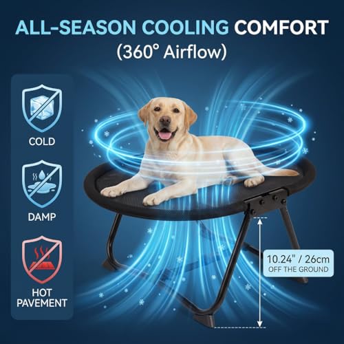 Elevated Dog Bed for Small Medium Dogs & Cats, Foldable Portable Pet Cot with 2 Interchangeable Covers & Storage Bag, Raised Indoor Outdoor Hammock, 22.4", Oval