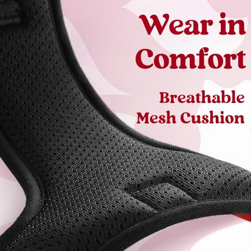 rabbitgoo Dog Harness Small Sized, No Pull Pet Harness with 3 Buckles, Adjustable Soft Padded Vest with Control Handle, Walking Reflective Pet Vest for Small Dogs, Red, S - color: Red, size: Small