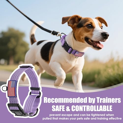 Martingale Dog Collar, Reflective No Pull Training Collar with Quick Release Buckle, Adjustable Heavy Duty Nylon Choker Collars for S M L Dogs (Lavender with Flag, L (1" x 19"-26")) - color: Lavender with Flag, size: L (1" x 19"-26")