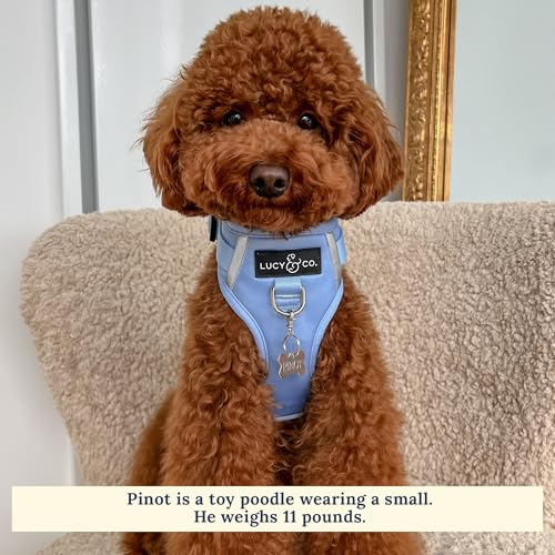 Lucy & Co. The Denim No-Pull Dog Harness - Size X-Large - Vest to Stop Pulling & Walk Easy - Comfortable Leash Training Product w/Adjustable Chest & Neck Straps - color: The Denim No-Pull Harness, size: X-Large