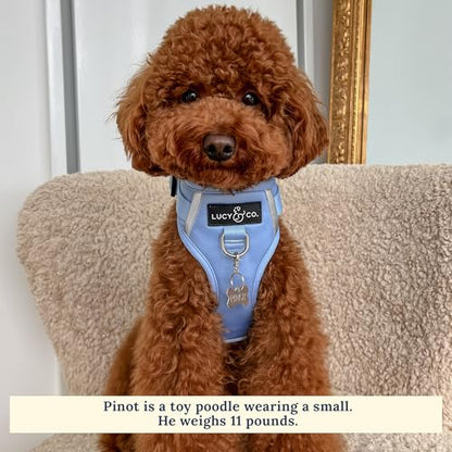 Lucy & Co. The Denim No-Pull Dog Harness - Size X-Large - Vest to Stop Pulling & Walk Easy - Comfortable Leash Training Product w/Adjustable Chest & Neck Straps - color: The Denim No-Pull Harness, size: X-Large