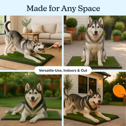 Dog Grass Pad with Tray - 35.5x23.5in Reusable Pee Pads for Dogs - 4-Layer Indoor/Outdoor Artificial Grass Pee Pad - Dog Housebreaking Supplies for Puppy Training by PETMAKER - size: XL 4-Layer System